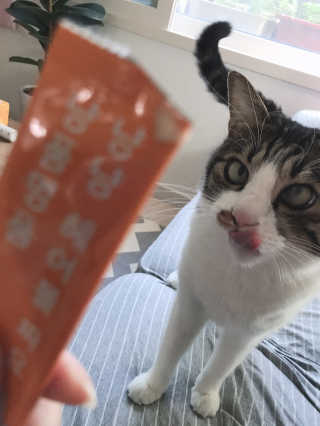 글라라5205님이 올린 리뷰 사진 1