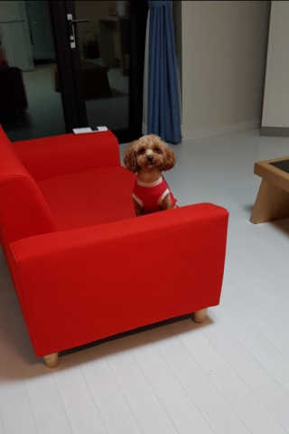 B님이 올린 리뷰 사진 2