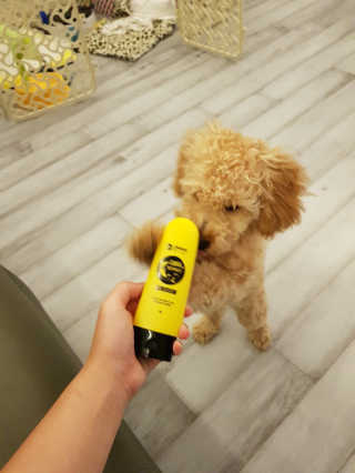 큐티윤님이 올린 리뷰 사진 1