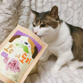 발미나님이 올린 리뷰 사진 2