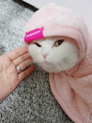 억대연봉님이 올린 리뷰 사진 1