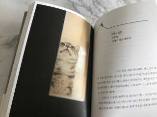 꼬물이님이 올린 리뷰 사진 2