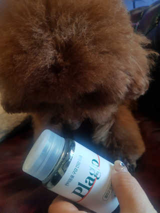 쪼꼬짱님이 올린 리뷰 사진 2
