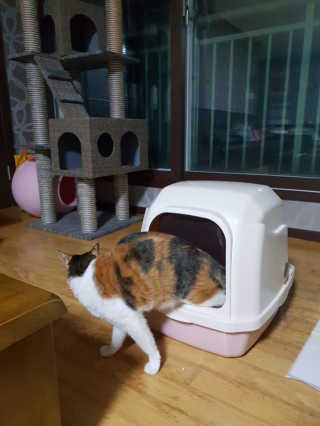 클랑유님이 올린 리뷰 사진 4
