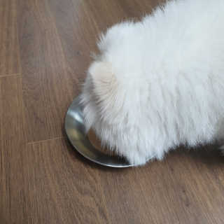 rtzd님이 올린 리뷰 사진 3