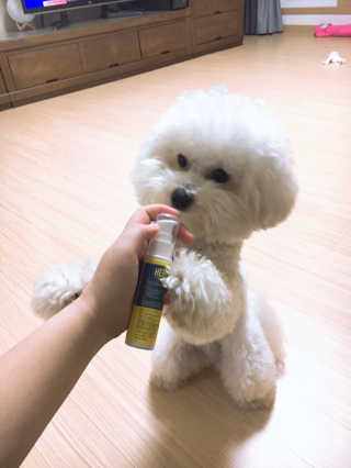 sooing님이 올린 리뷰 사진 4