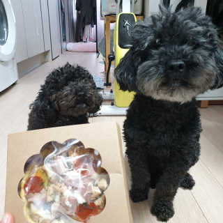 주현하님이 올린 리뷰 사진 2