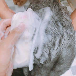 이잉룽님이 올린 리뷰 사진 2