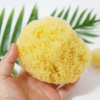 룰라러브 모공관리 끝 지중해산 천연해면 바디스펀지 — 4.67점을 준 리뷰어가 2018년 4월 올린 사용 사진