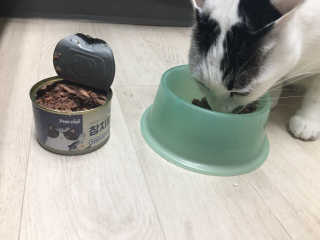 루시강님이 올린 리뷰 사진 2