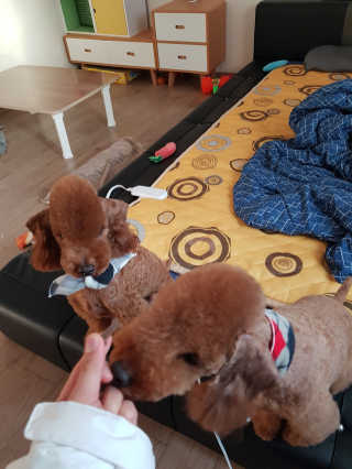 미니이님이 올린 리뷰 사진 2
