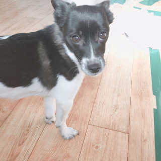 박정연님이 올린 리뷰 사진 4