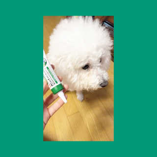쀼니지브님이 올린 리뷰 사진 2