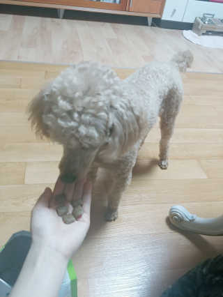 포포님이 올린 리뷰 사진 4