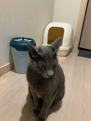플로리아님이 올린 리뷰 사진 1