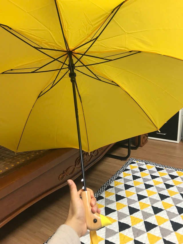 Ducky Umbrella - 오리우산 리뷰 사진