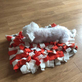 Vivi님이 올린 리뷰 사진 1