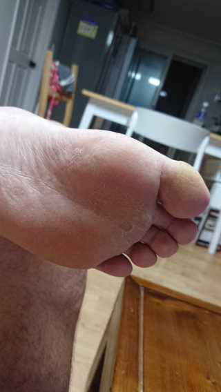 하닮님이 올린 리뷰 사진 2