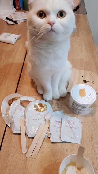 논지님이 올린 리뷰 사진 2
