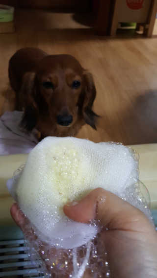 WooKyoungKim님이 올린 리뷰 사진 4