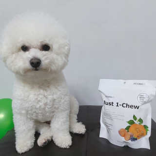 [펫토리아] 한입뚝딱 혼합 덴탈츄 Just 1-Chew — 5점을 준 리뷰어가 2020년 2월 올린 사용 사진