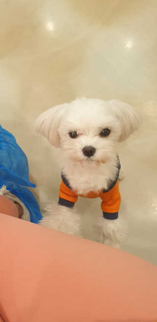 율쓰님이 올린 리뷰 사진 3