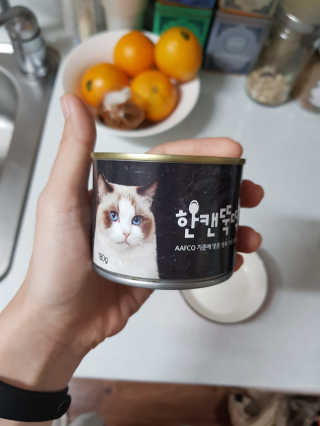 펫토리아 한캔뚝딱 best 강아지캔,고양이주식캔 — 5점을 준 리뷰어가 2019년 6월 올린 사용 사진