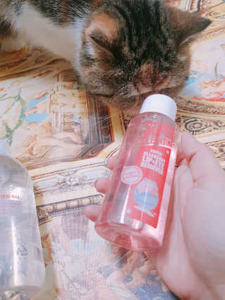 엘카몬님이 올린 리뷰 사진 4