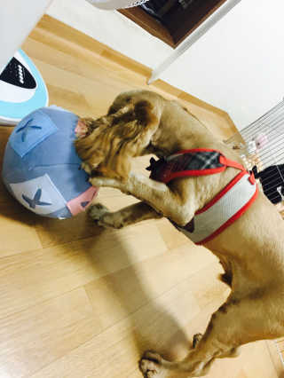이은진님이 올린 리뷰 사진 4
