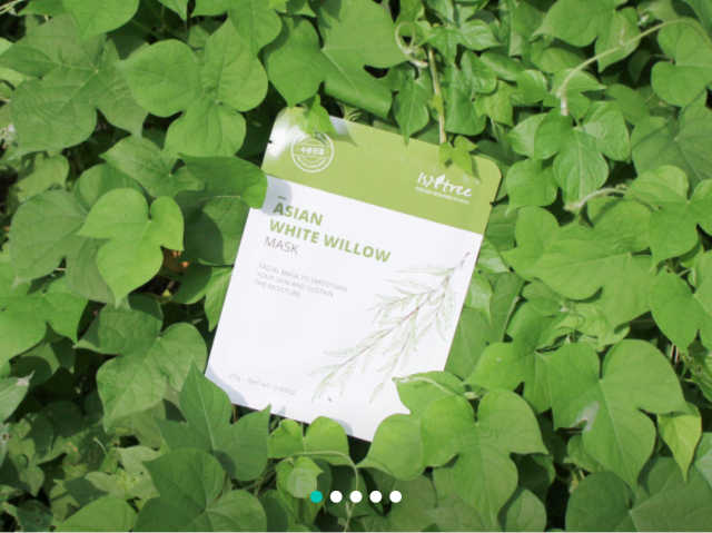 아시안 화이트 윌로우 마스크 리뷰 사진