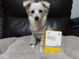 뭉글님이 올린 리뷰 사진 1