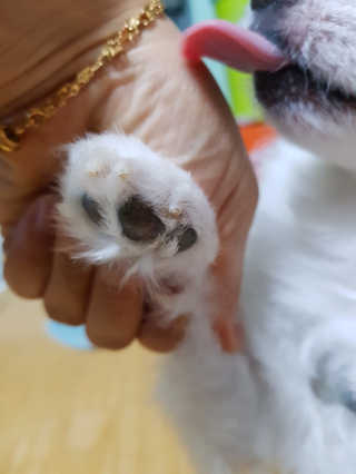 밍크찡님이 올린 리뷰 사진 2