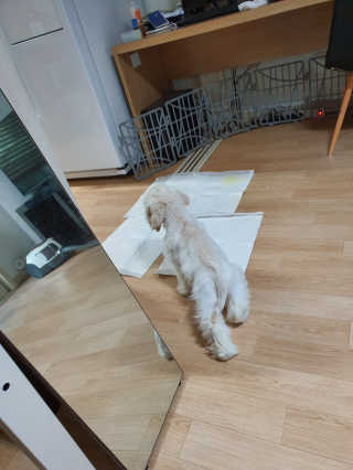 째니니님이 올린 리뷰 사진 1