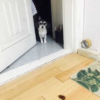 하리공주님이 올린 리뷰 사진 1