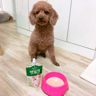 [빙그레] 에버그로 생유산균 1봉（10포입）+펫밀크2팩 — 5점을 준 리뷰어가 2019년 5월 올린 사용 사진