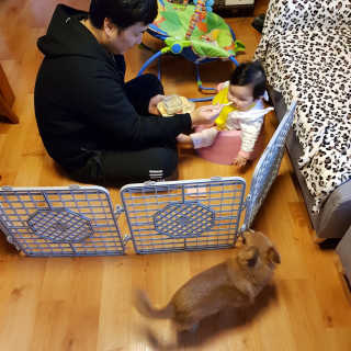 선유맘님이 올린 리뷰 사진 4