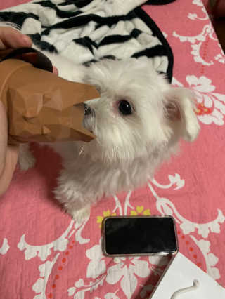 새초미님이 올린 리뷰 사진 1