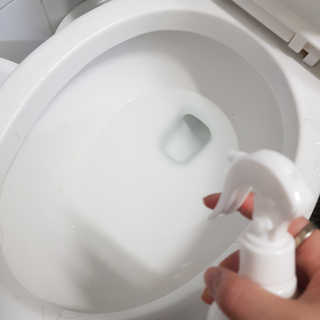 셀로몬 토일렛 스프레이 500ml — 4.83점을 준 리뷰어가 2018년 5월 올린 사용 사진