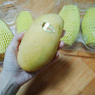1zczczc1님이 올린 리뷰 사진 2