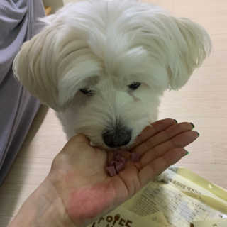 헬로샤샤님이 올린 리뷰 사진 2