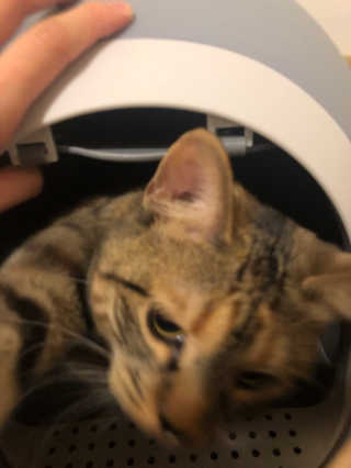 채꽃신님이 올린 리뷰 사진 4