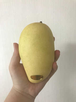 곰잰니님이 올린 리뷰 사진 2