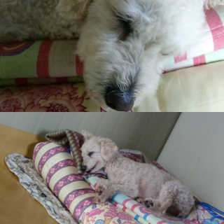 이린님이 올린 리뷰 사진 3