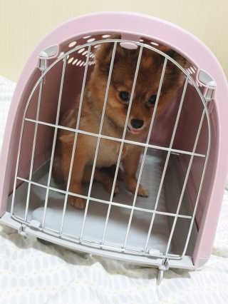 은선이짱님이 올린 리뷰 사진 2