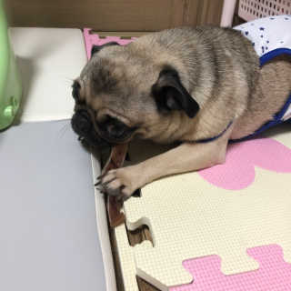 DasomKwack님이 올린 리뷰 사진 1