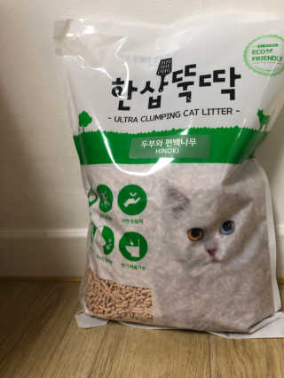 berryjjung님이 올린 리뷰 사진 2