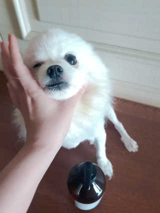 퀸민님이 올린 리뷰 사진 3