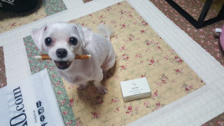 끼끼뀨뀨님이 올린 리뷰 사진 2