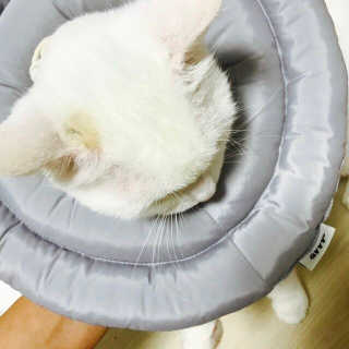 유솔님이 올린 리뷰 사진 2