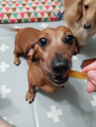 끙순둥단님이 올린 리뷰 사진 3